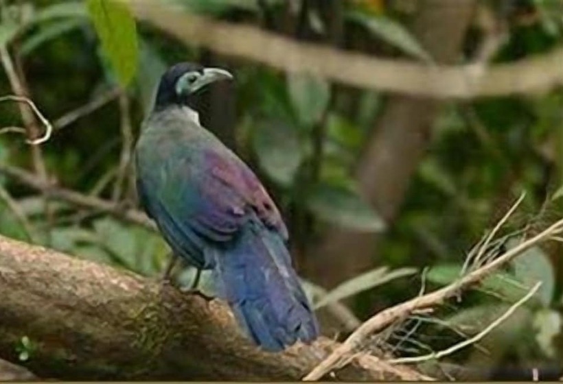 فندق Singgahmata Holidays Camp