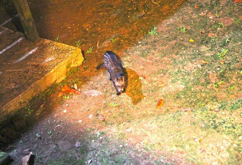 فندق Singgahmata Holidays Camp