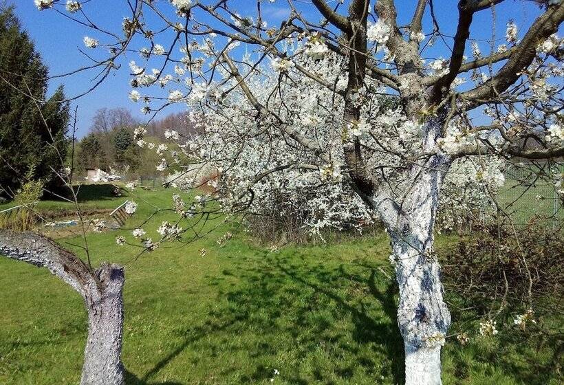 ホテル Steffi S Zimmervermietung