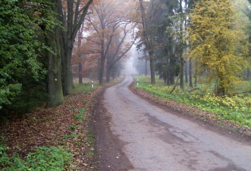 ホテル Steffi S Zimmervermietung