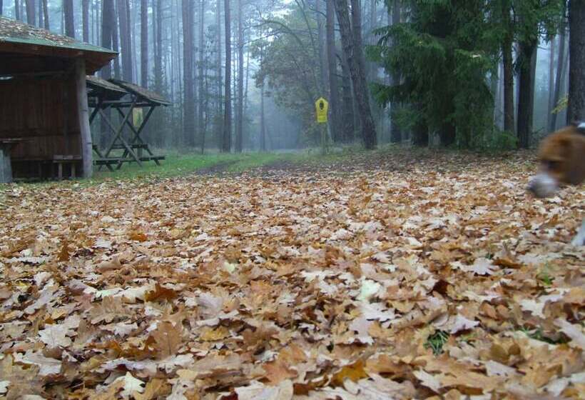 ホテル Steffi S Zimmervermietung