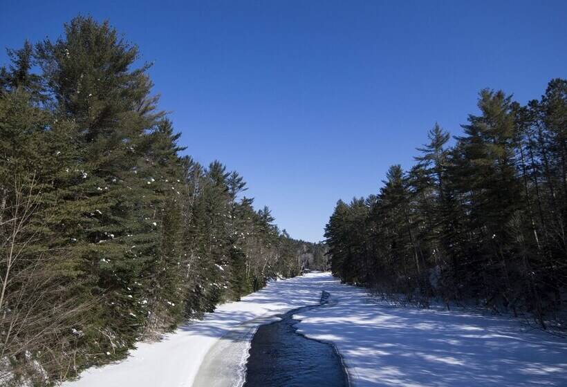 ホテル The Canadian Ecology Centre Cabins