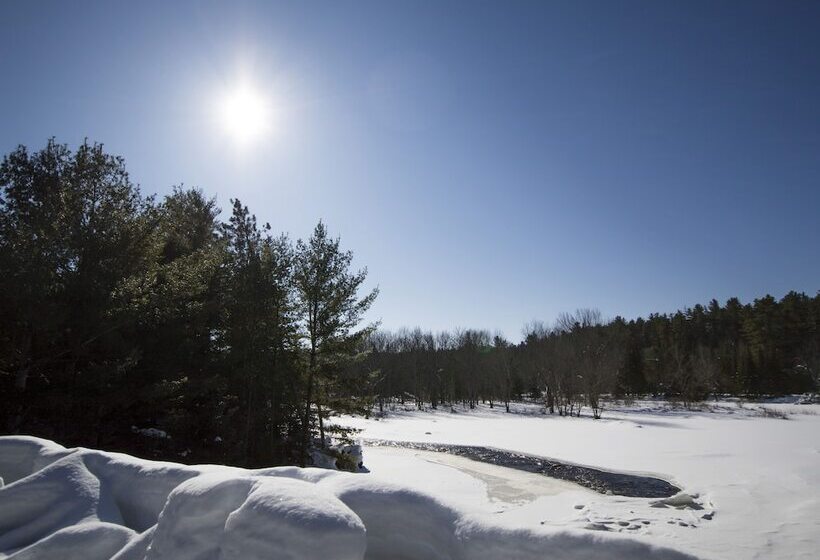 ホテル The Canadian Ecology Centre Cabins