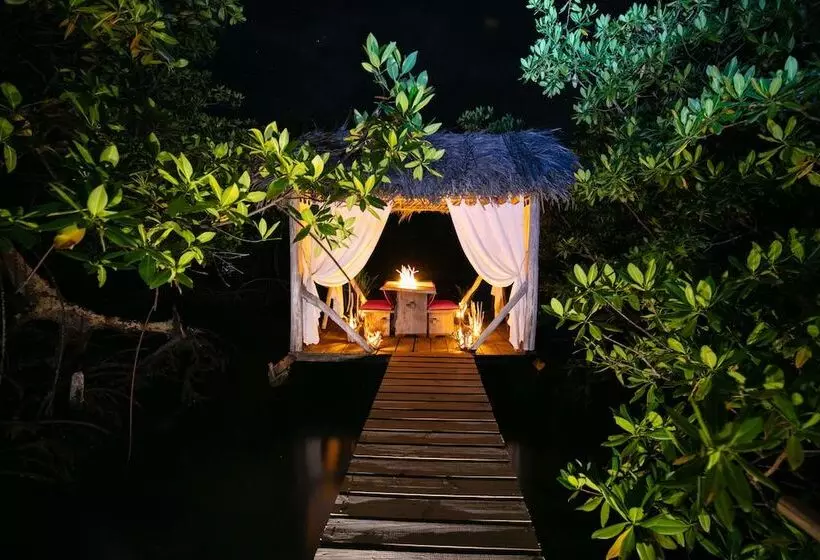 ホテル Urraca Monkey Island Eco Resort