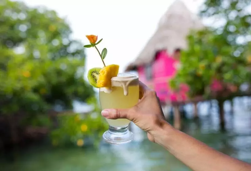 ホテル Urraca Monkey Island Eco Resort