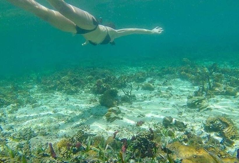 هتل Urraca Monkey Island Eco Resort