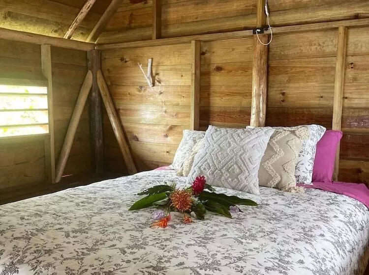 ホテル Urraca Monkey Island Eco Resort