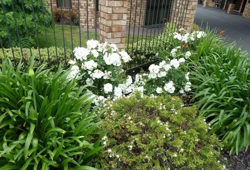 モーテル Central Motor Lodge