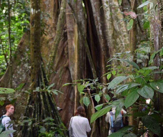 پانسیون Green House Tambopata