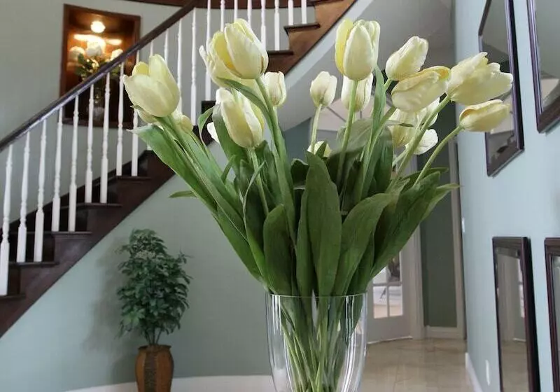 Majatalo Lafayette Grand Manor