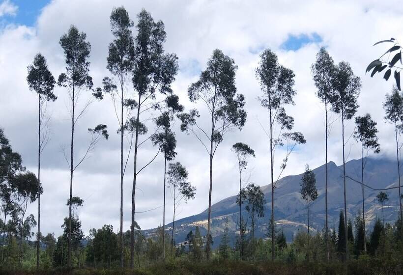 Refugio Terra Esperanza Hostel