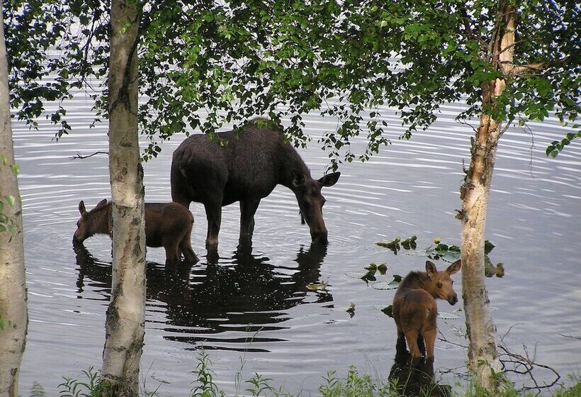 St. Theresa S Lakeside Resort