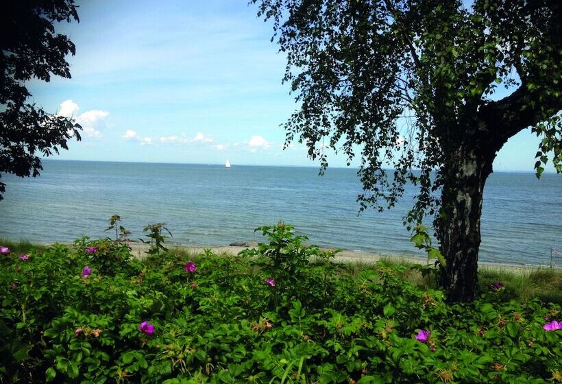 Haus Stoertebeker Appartements   Hotel Garni