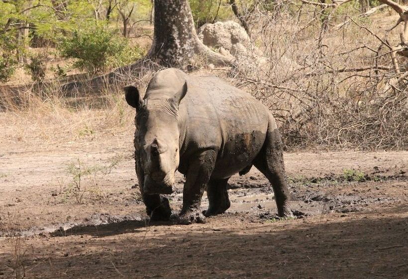 هتل Fathala Wildlife Reserve