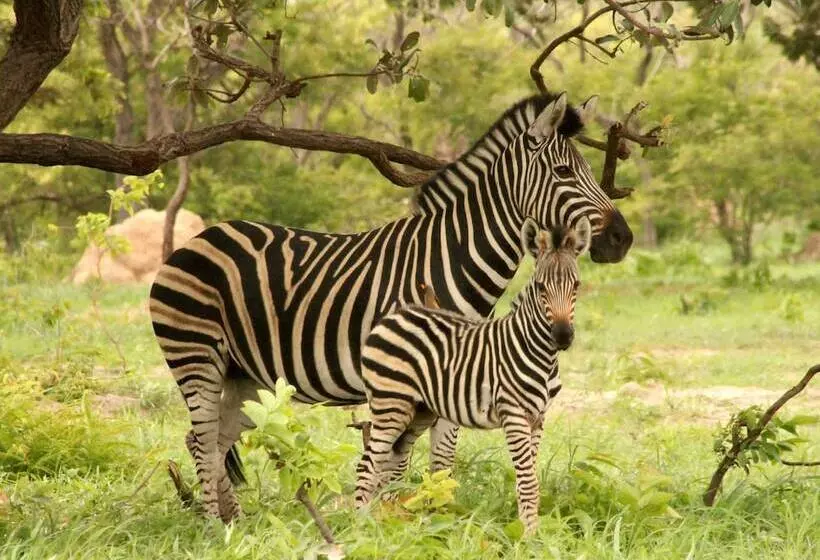 هتل Fathala Wildlife Reserve