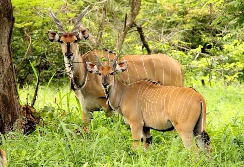 هتل Fathala Wildlife Reserve