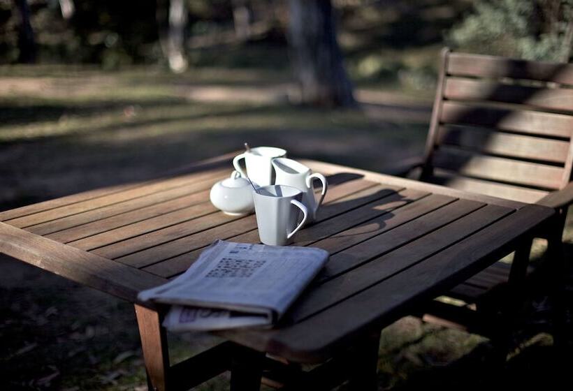 酒店 Snowy Wilderness