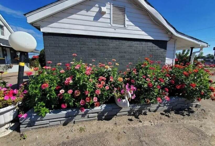 汽车旅馆 Hillside Inn Pembroke