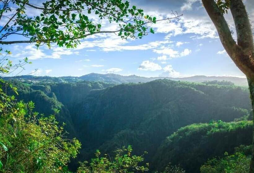 پانسیون Canyon Boutique