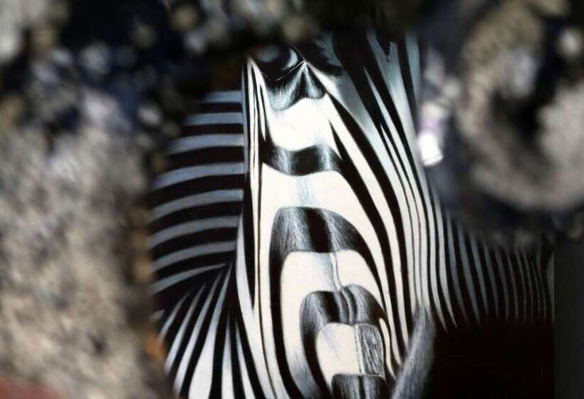 بنسيون Big Bear Spa Suites