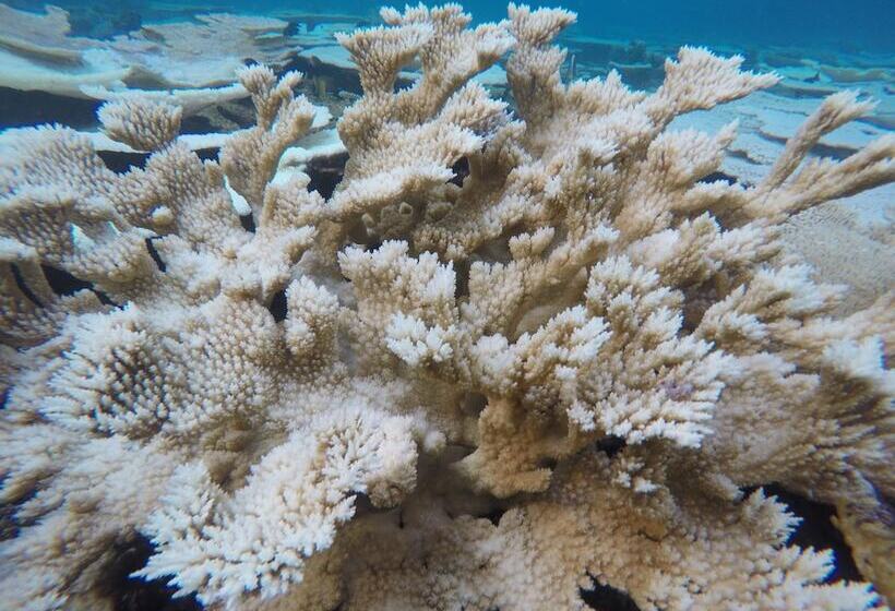 پانسیون Mathiveri Inn