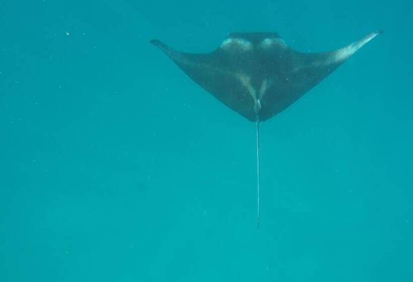 پانسیون Mathiveri Inn