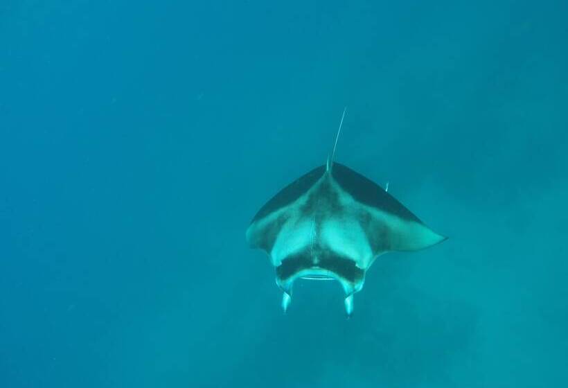 پانسیون Mathiveri Inn