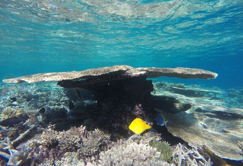 پانسیون Mathiveri Inn