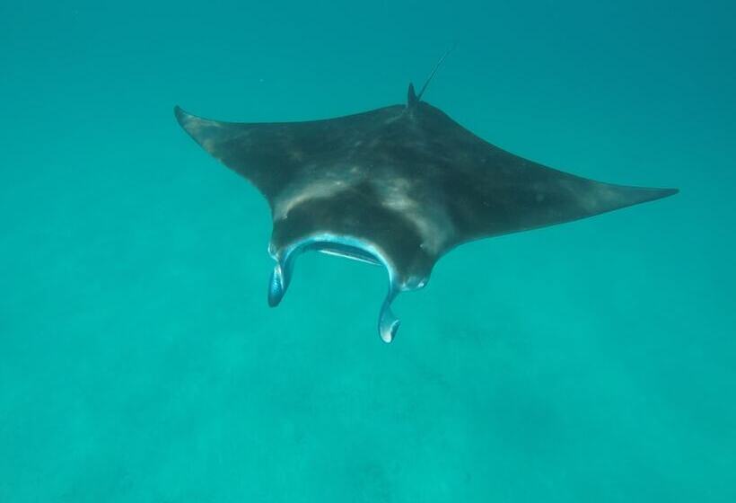 پانسیون Mathiveri Inn