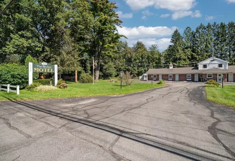 The Birches Motel