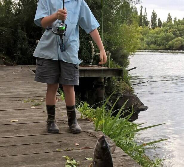 The Shingles Riverside Cottages