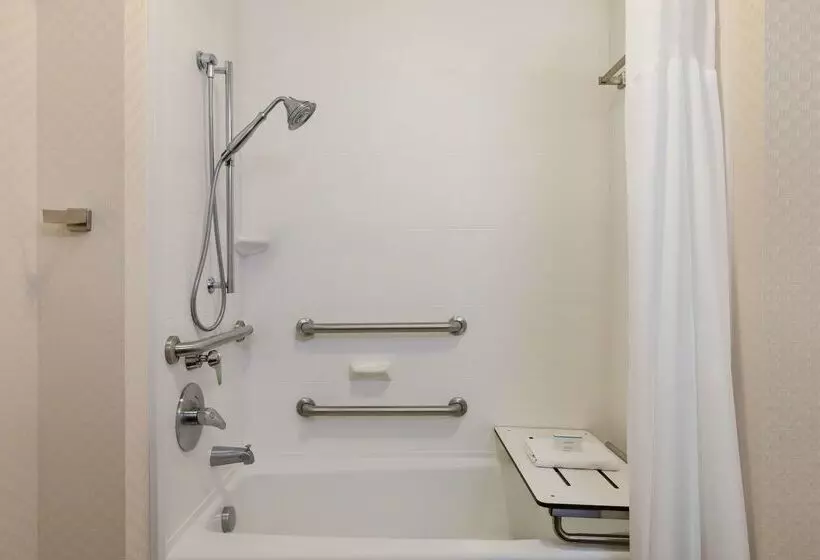 酒店 Hampton Inn & Suites Roanokedowntown