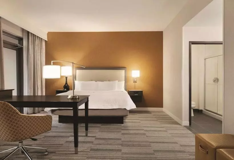酒店 Hampton Inn & Suites Roanokedowntown