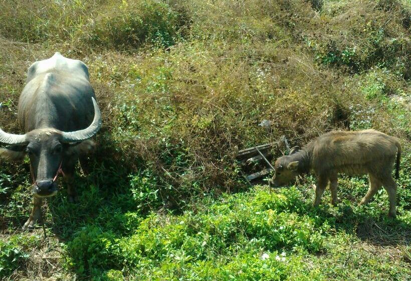 فندق Him Doi House