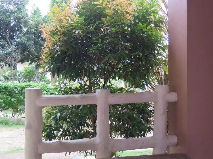 Pensionat Alexis Cliff Dive Resort