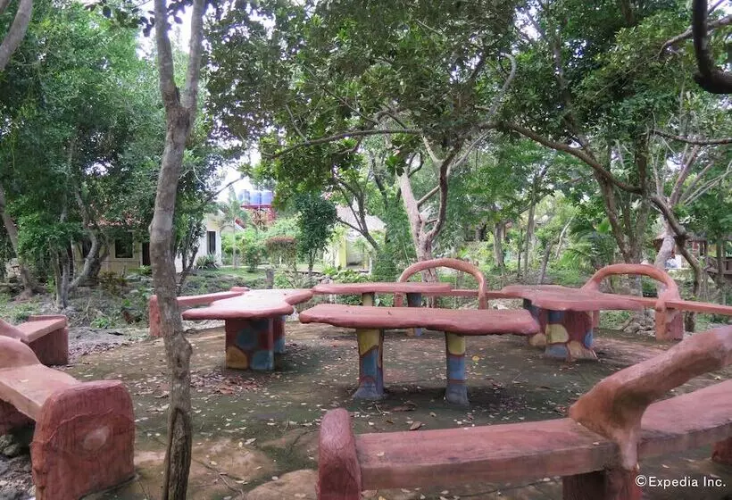 Pensionat Alexis Cliff Dive Resort