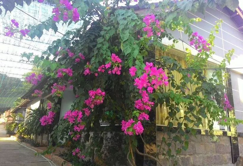 پانسیون Kim Minh Resort