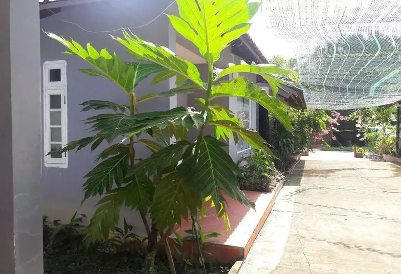 پانسیون Kim Minh Resort