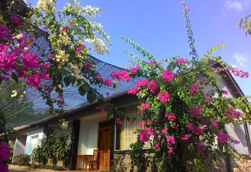 پانسیون Kim Minh Resort