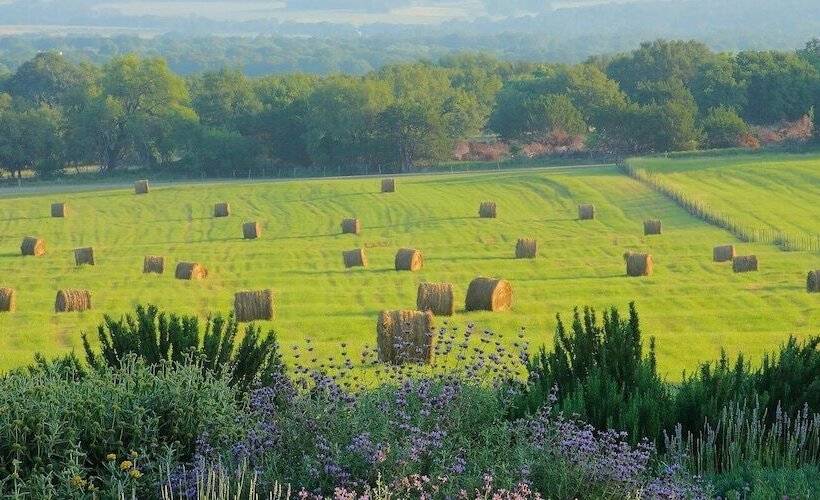 Bed and Breakfast Rose Hill Retreat