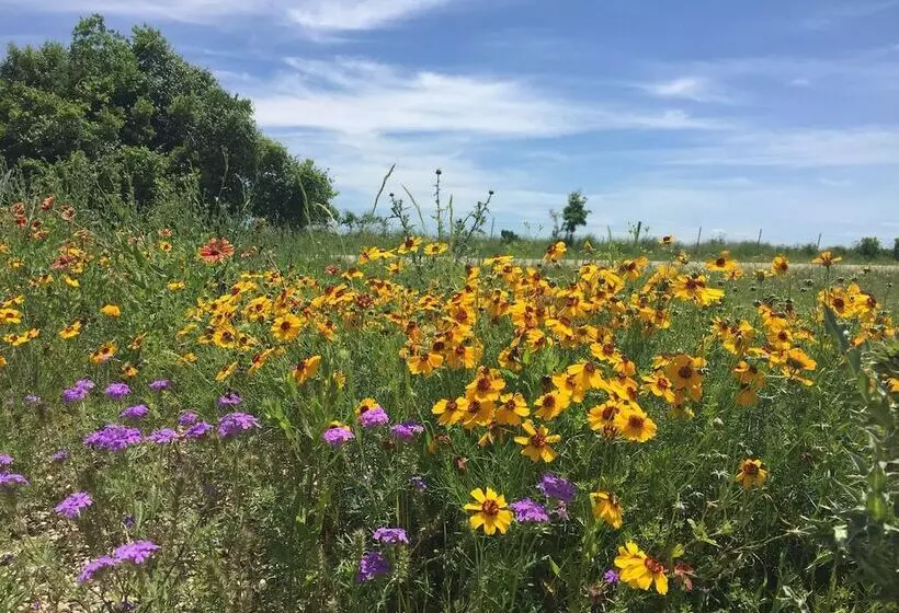 Aamiaismajoitus (B&B) Rose Hill Retreat