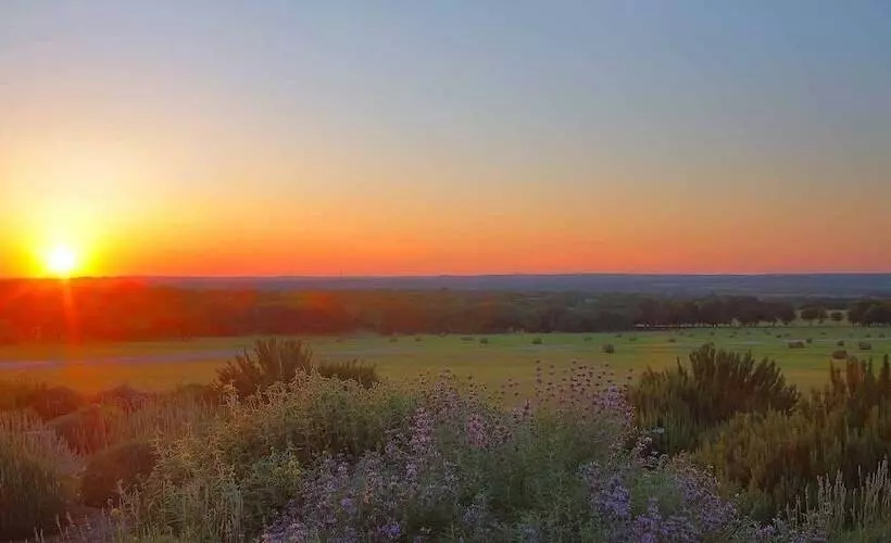 Aamiaismajoitus (B&B) Rose Hill Retreat