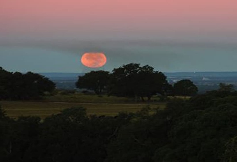 Bed and Breakfast Rose Hill Retreat