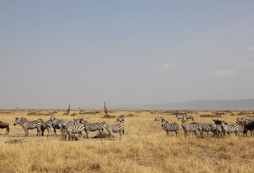 هتل Elangata Olerai Luxury Camp