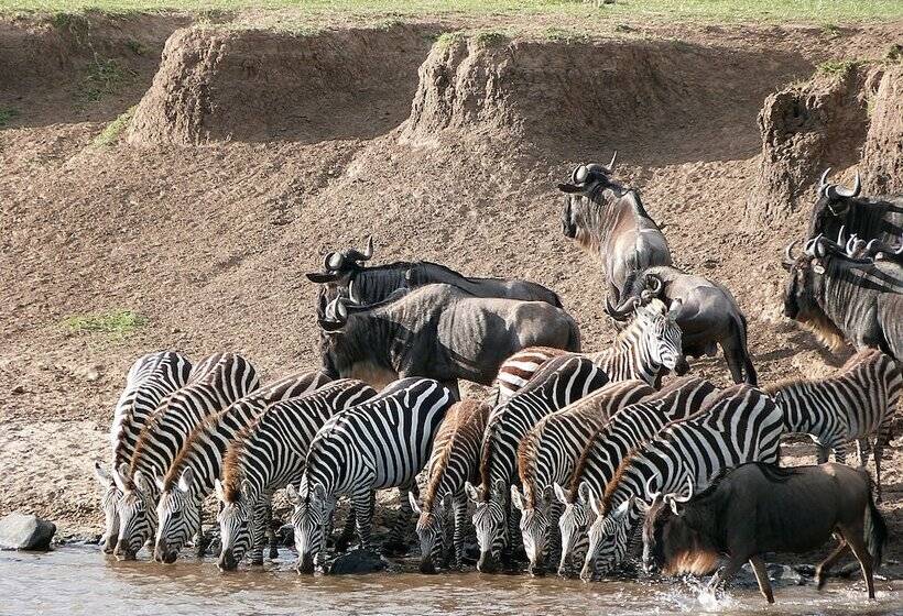 هتل Julia S River Camp