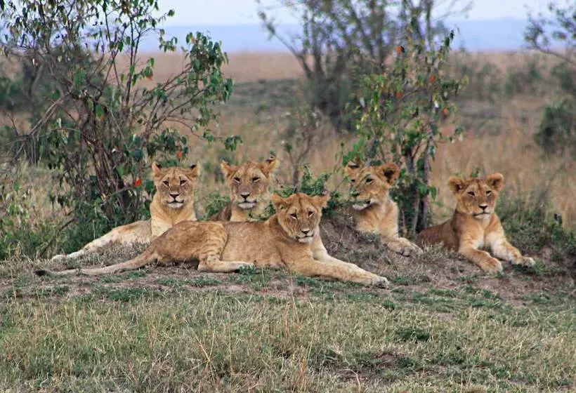 هتل Julia S River Camp