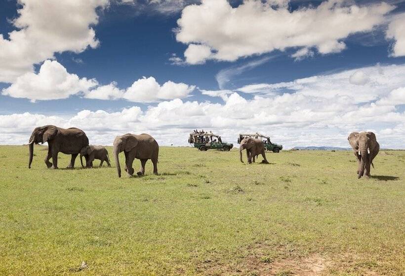 هتل Julia S River Camp