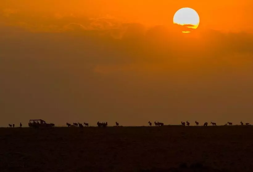 هتل Julia S River Camp