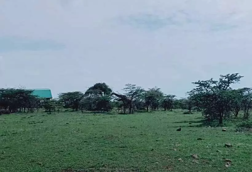 هتل Kobe House Mara