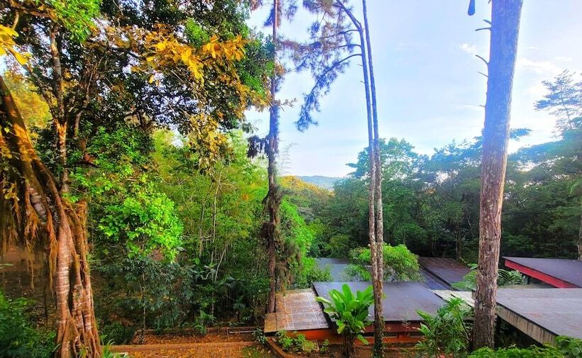 호텔 La Semilla Ecolodge